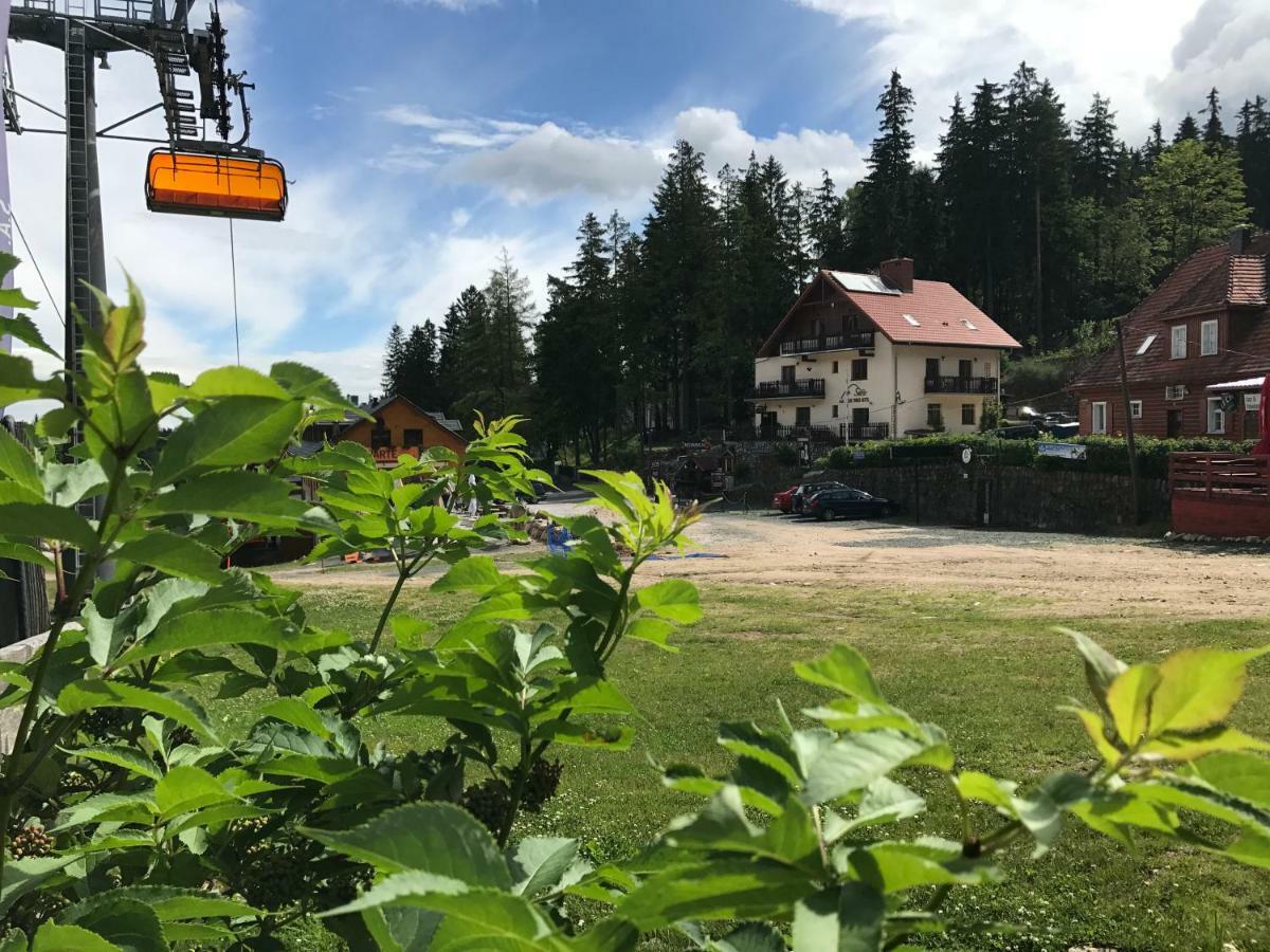 卡尔帕奇Safir Przy Samym Wyciagu住宿加早餐旅馆 外观 照片