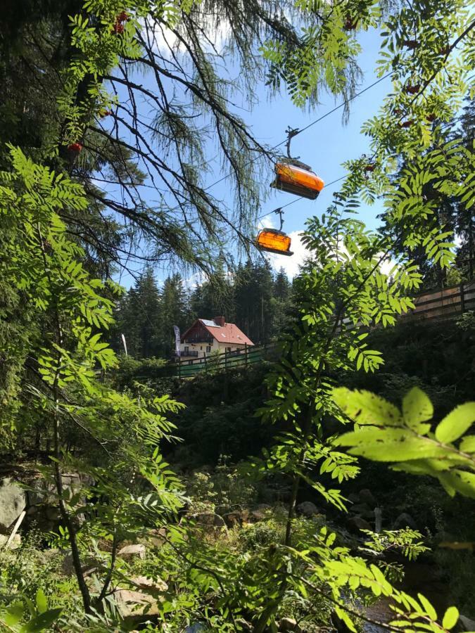 卡尔帕奇Safir Przy Samym Wyciagu住宿加早餐旅馆 外观 照片